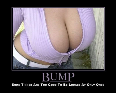 Name:  Bump.jpg
Views: 10
Size:  26.8 KB